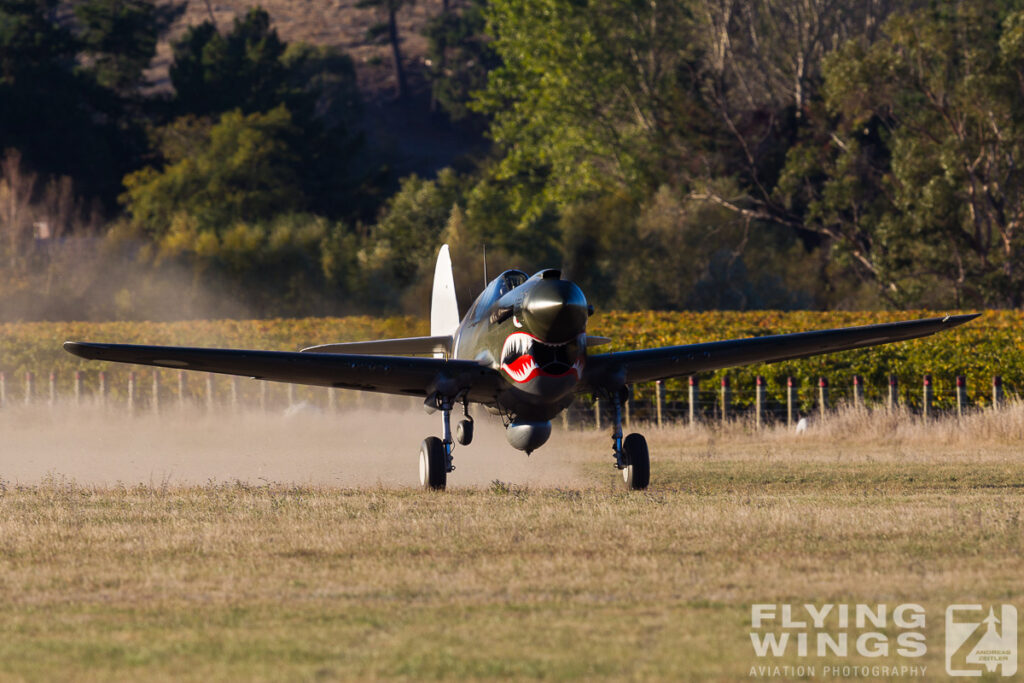 2015, Omaka, P-40, airshow