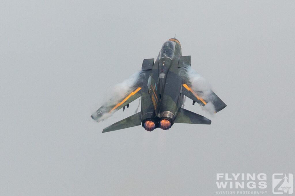 2015, Manching, WTD61, airshow