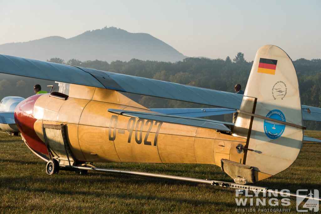 2016, Glider, Hahnweide, airshow, sailplane