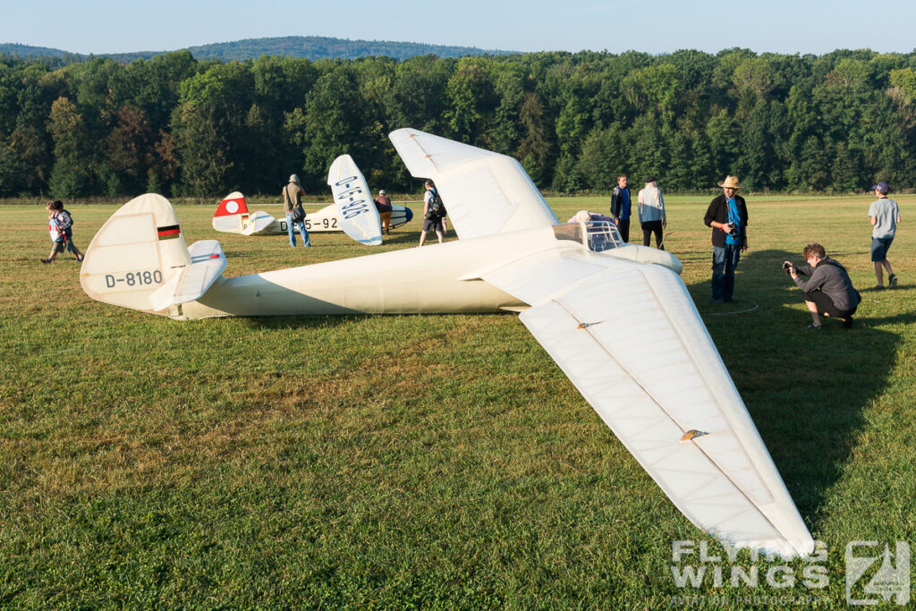 2016, FC, Glider, Hahnweide, airshow, sailplane