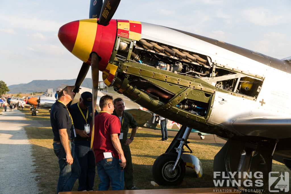 2016, FC, Hahnweide, P-51Mustang, airshow, detail, engine