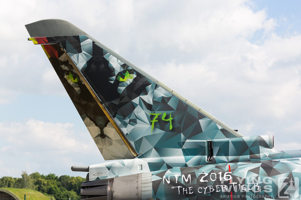 2016, 30+29, Cyber Tiger, Eurofighter, Neuburg, Tag der Bundeswehr, TdBw, airshow, detail, special color, static display