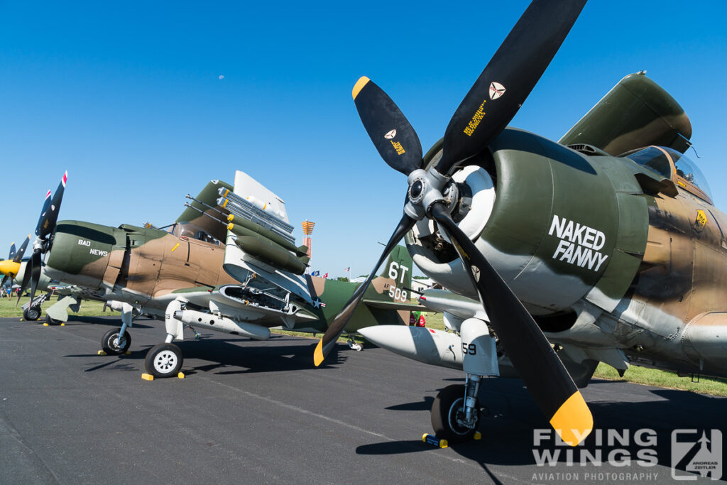 skyraider eaa airventure oshkosh  00451 zeitler 1024x683 - EAA Airventure Oshkosh 2016