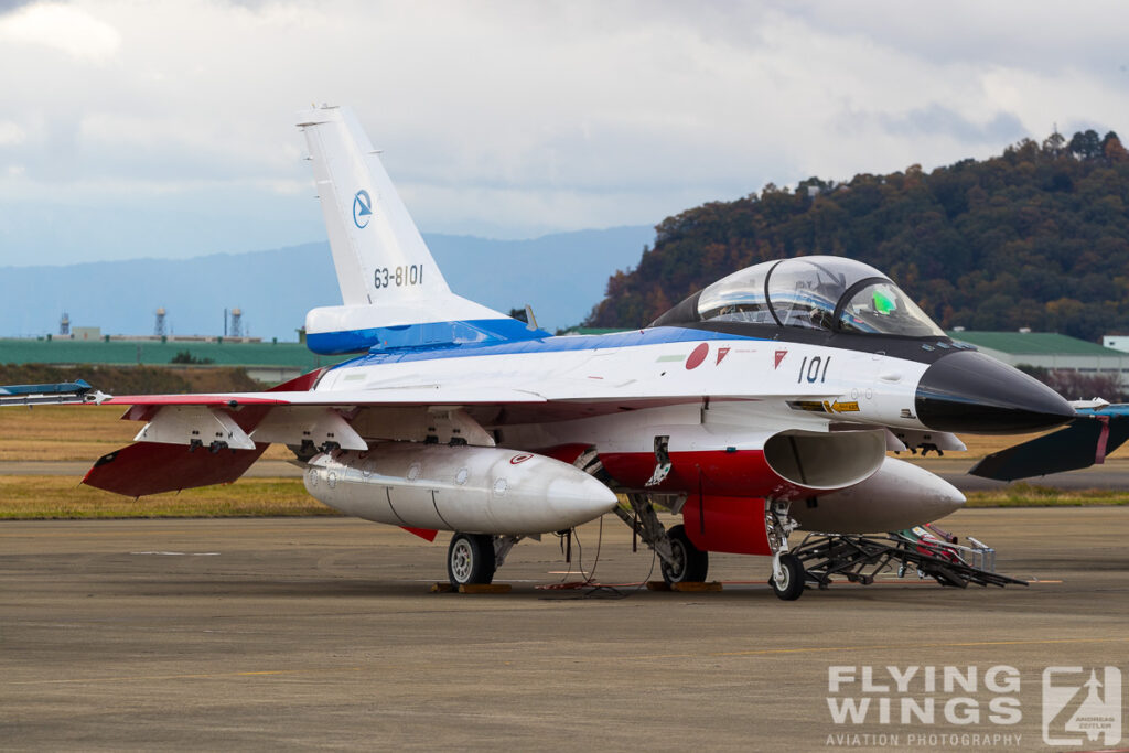 2017, F-2, F-2B, Gifu, Japan, airshow, special colour, static