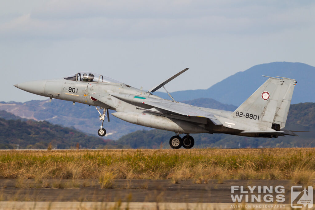 2017, F-15J, JASDF, Japan, Tsuiki