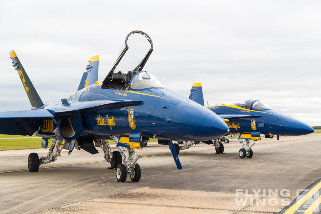 houston airshow blue angels ground 2764 zeitler 1024x683 - Wings over Houston 2018