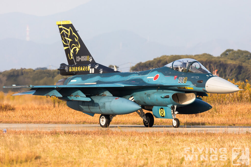 tsuiki airshow f 2 specials 2425 zeitler 1024x683 - Tsuiki Airshow 2018