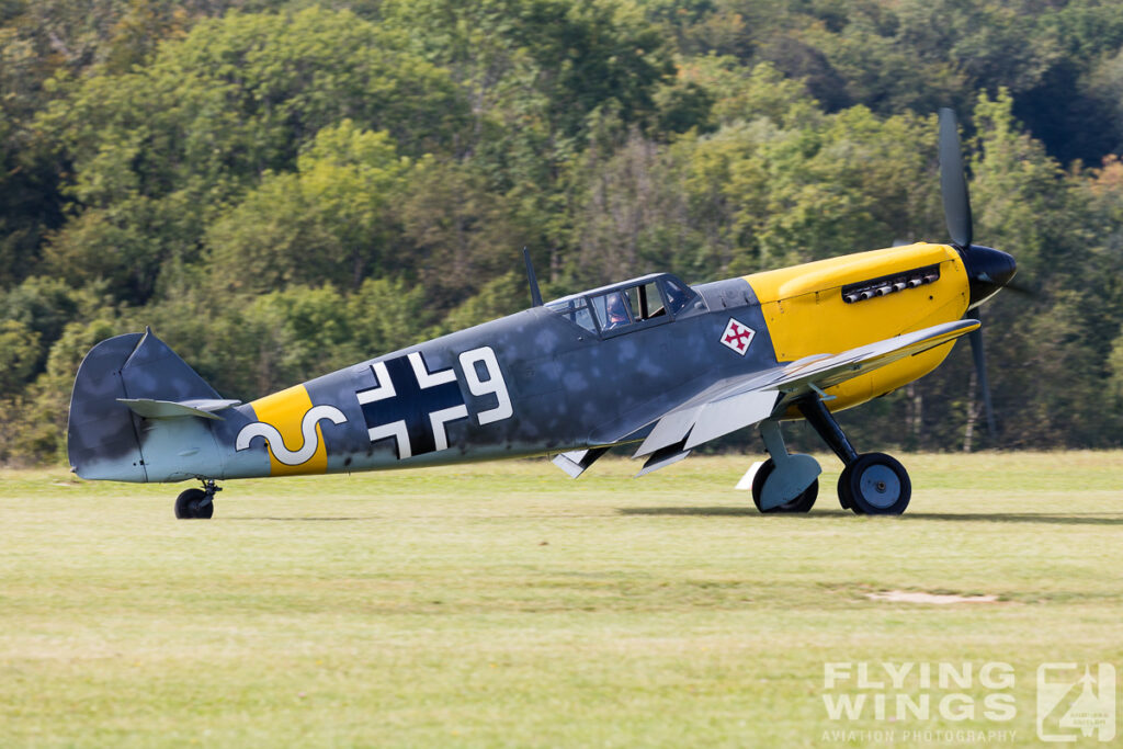 hahnweide19 buchon 9118 zeitler 1024x683 - Hahnweide OTT 2019