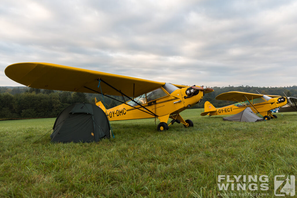 hahnweide19 flightline morgen 2920 zeitler 1024x683 - Hahnweide OTT 2019