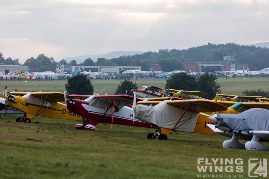 hahnweide19 flightline morgen 8857 zeitler 1024x683 - Hahnweide OTT 2019