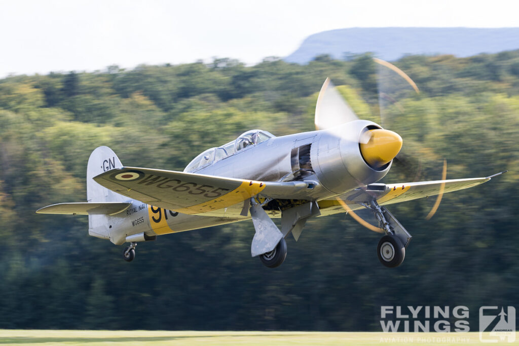 hahnweide19 sea fury 5969 zeitler 1024x683 - Hahnweide OTT 2019