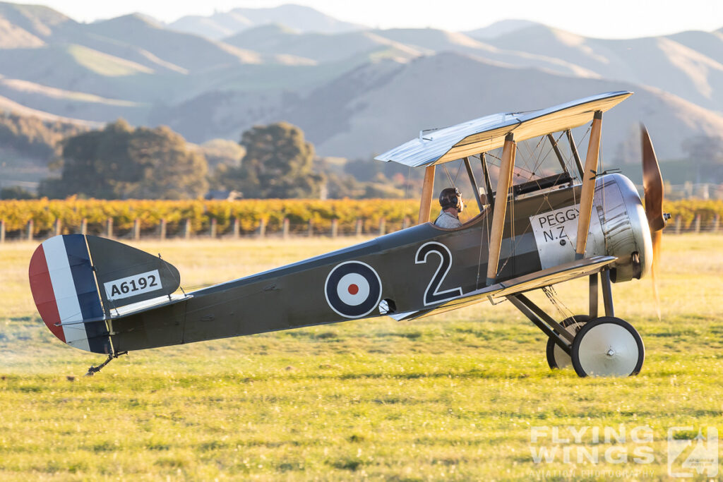 omaka 2019 pup 0095 zeitler 1024x683 - Classic Fighters - Omaka Airshow 2019