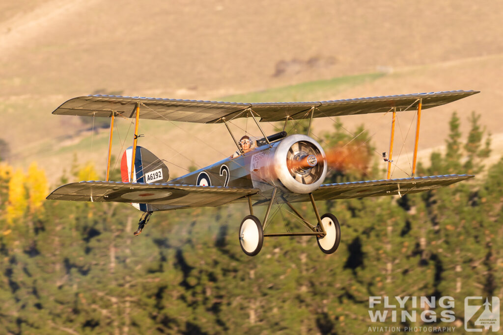 omaka 2019 pup 2982 zeitler 1024x683 - Classic Fighters - Omaka Airshow 2019