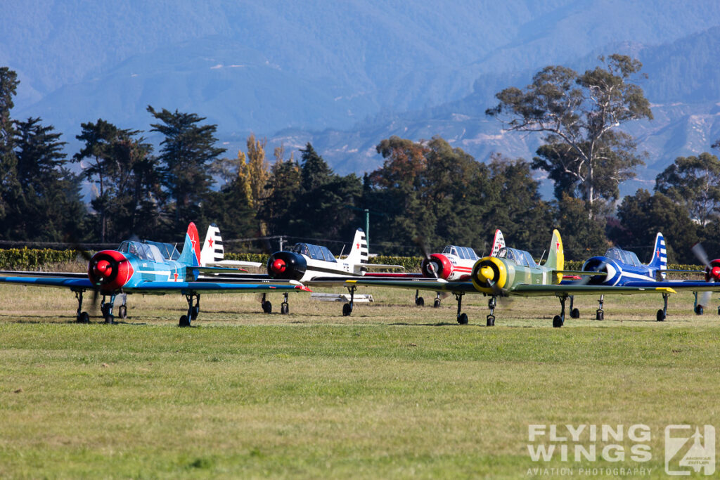 omaka 2019 yak 52 2489 zeitler 1024x683 - Classic Fighters - Omaka Airshow 2019