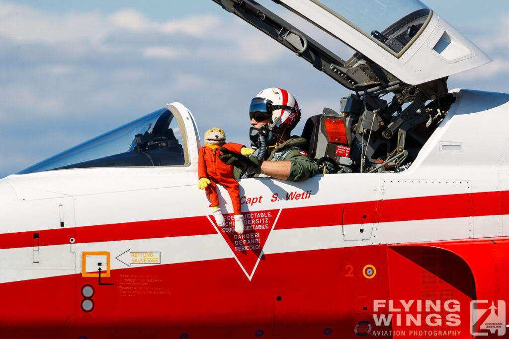 2021, F-5E, Patrouille Suisse, Rivolto, Swiss Air Force, TIger, display team