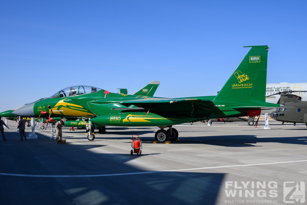 2024, Eagle, F-15C, F-15S, RSAF, Riad, Saudi Arabia, WDS, World Defense Show, green, special scheme