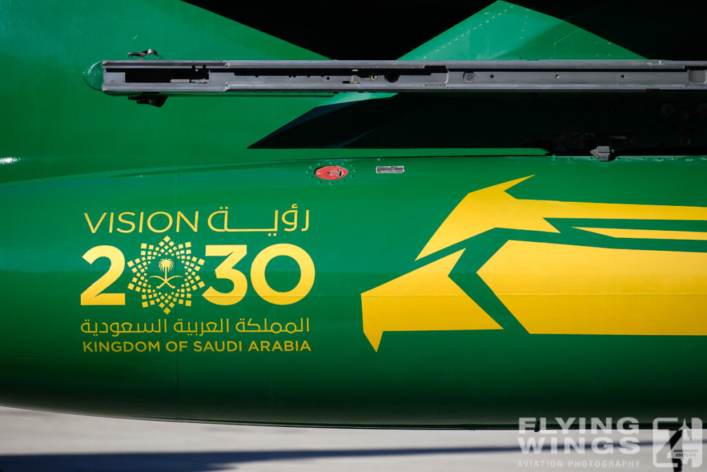 2024, F-15S, RSAF, Riad, Saudi Arabia, WDS, World Defense Show, detail, green, special scheme