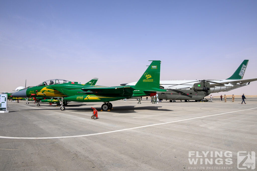 2024, F-15S, RSAF, Riad, Saudi Arabia, WDS, World Defense Show, green, special scheme