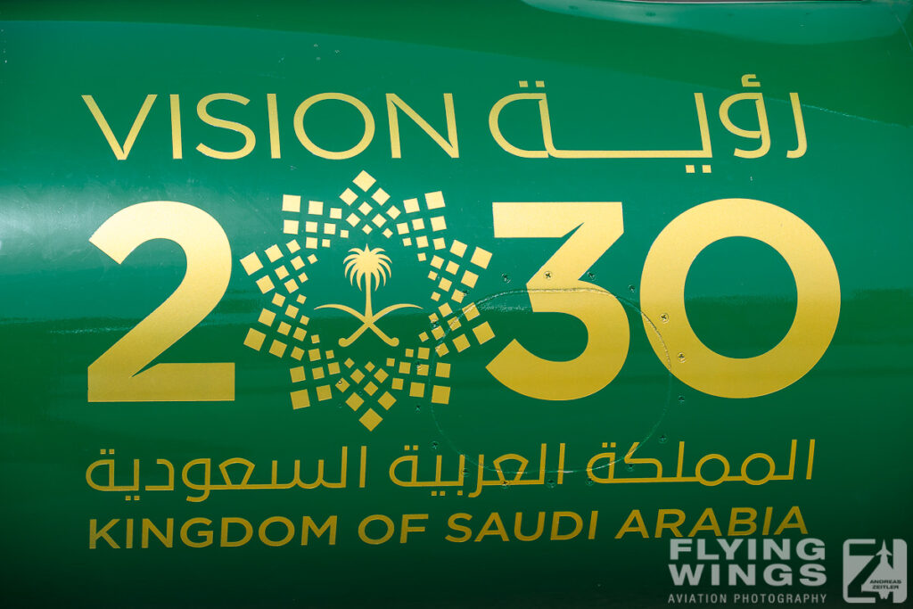 2024, Riad, Saudi Arabia, WDS, World Defense Show, detail, green, special scheme