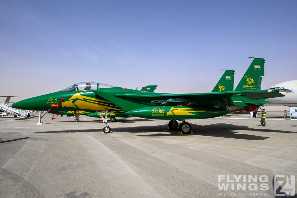 2024, Riad, Saudi Arabia, WDS, World Defense Show, green, special scheme