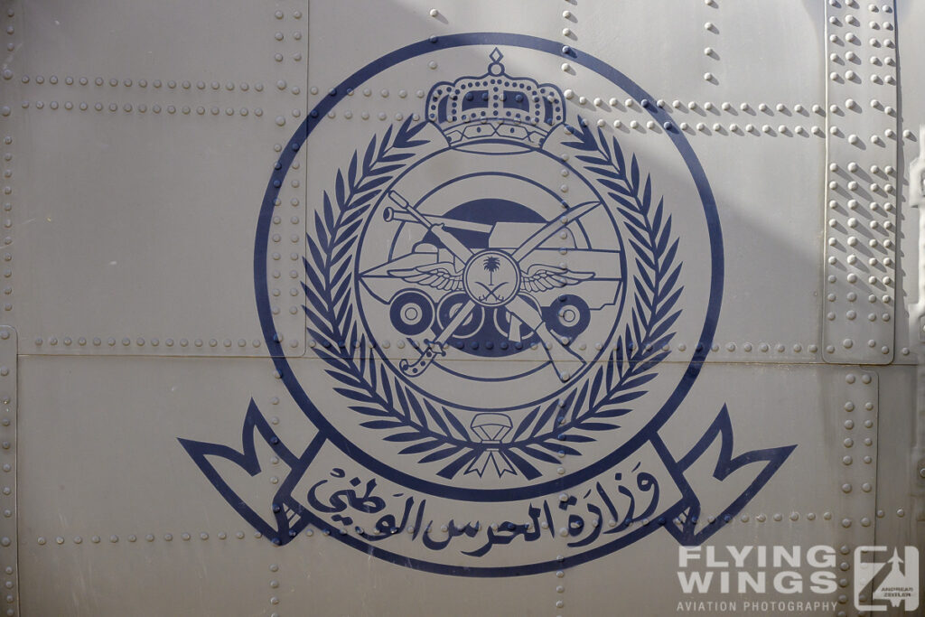 2024, Riad, Saudi Arabia, Saudi National Guard, WDS, World Defense Show, detail, emblem, logo