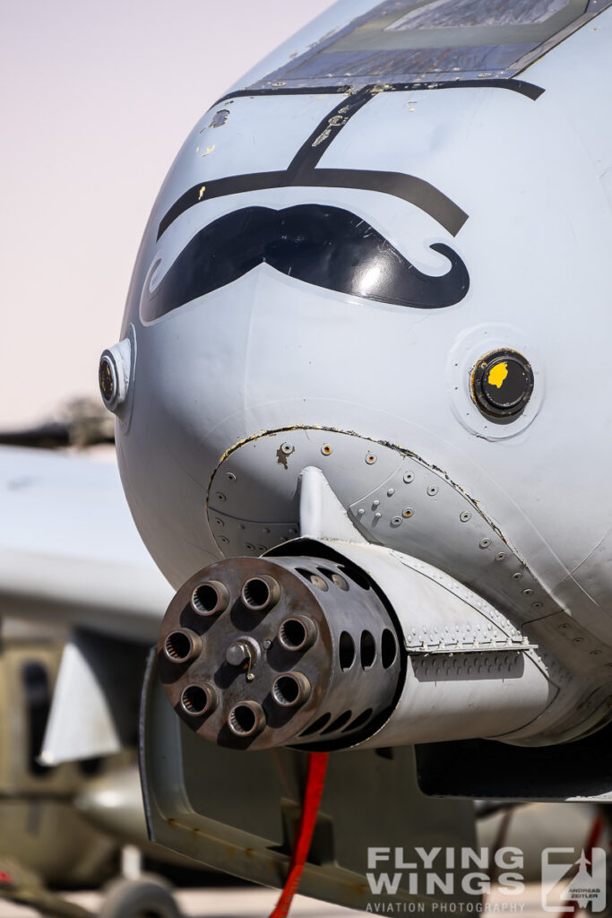 2024, A-10C, Riad, Saudi Arabia, Thunderbolt II, USAF, WDS, World Defense Show, beard, detail, moe, zap