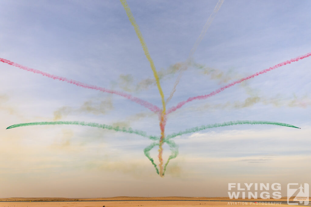 1st August, 2024, China, J-10, PLAAF, Riad, Saudi Arabia, WDS, World Defense Show, display team