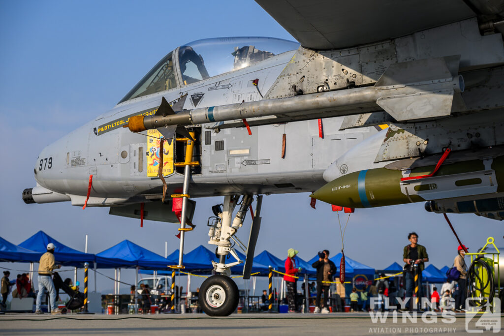 2025, A-10, Osan, South Korea, detail, special scheme, static display, weapon