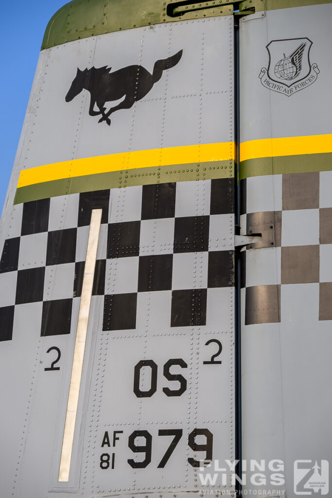 2025, A-10, Osan, South Korea, detail, special scheme, static display, weapon