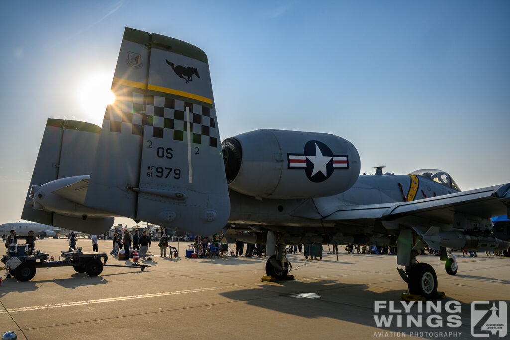 2025, A-10, Osan, South Korea, special scheme, static display, weapon