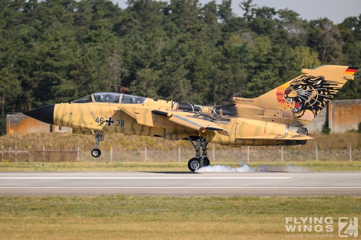 The Desert Tiger‘s last landing. Quite fitting camouflage in the middle of dried out grass…