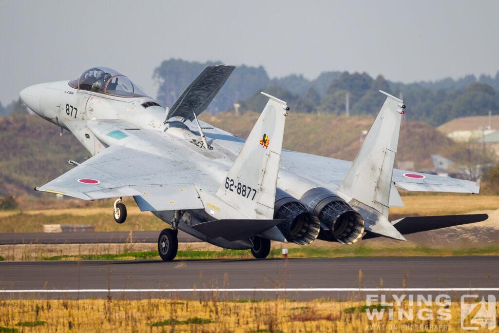 20101111 f 15   8676 zeitler 1024x683 - Colourful Kyushu - Chasing Aggressors, Orions and much more in Japan