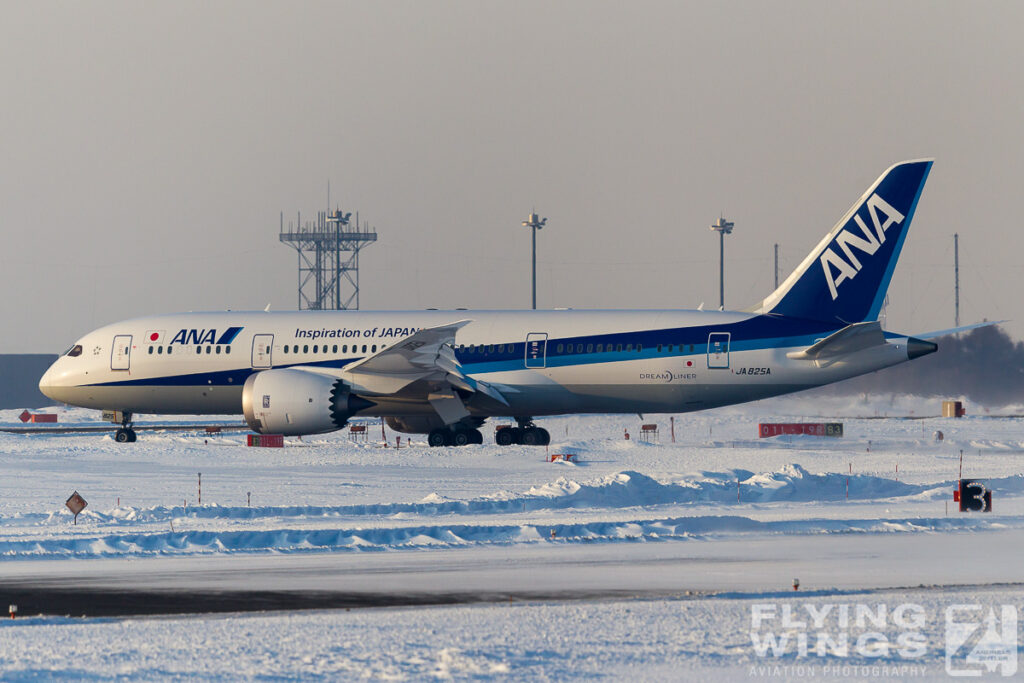 ana   3222 zeitler 1024x683 - Winter Planespotting in Hokkaido