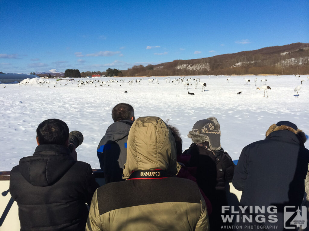 iphone   0797 zeitler 1024x768 - Winter Planespotting in Hokkaido