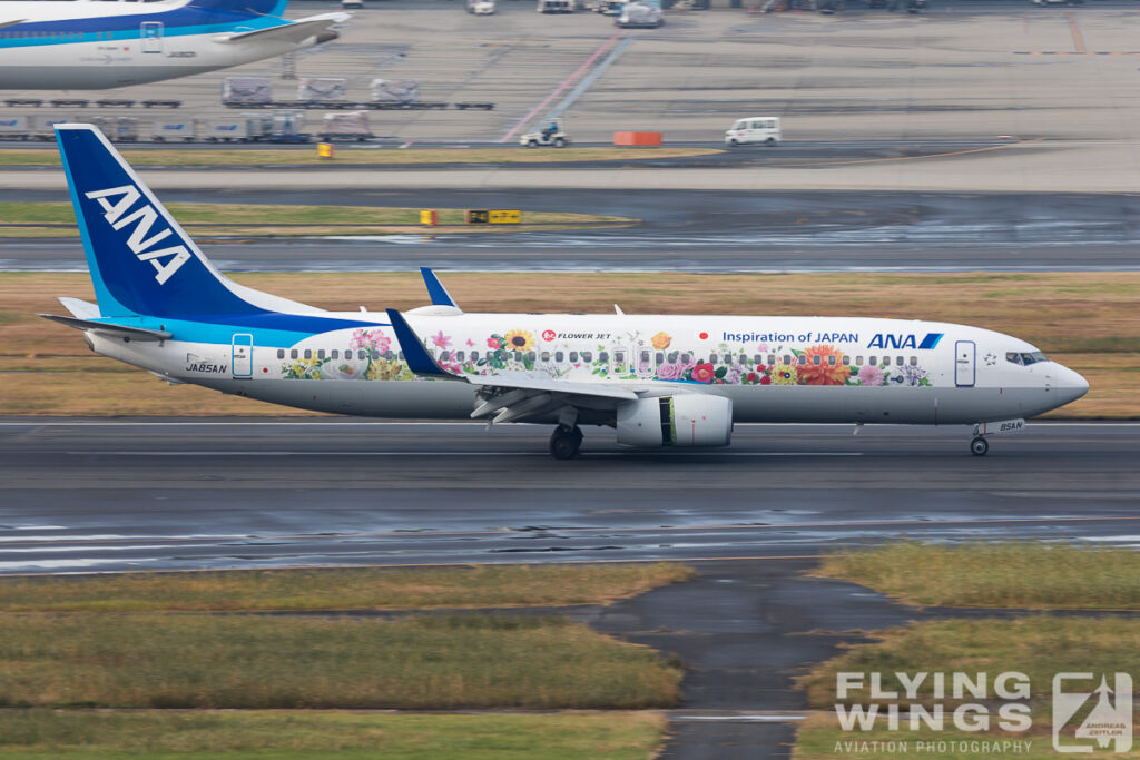 haneda ana 5777 zeitler 1024x683 - Planespotting Japan - Military airfields around Central Honshu