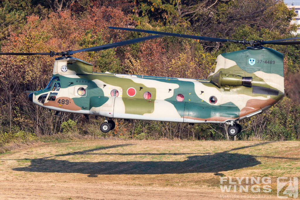2018, CH-47, Iruma, JASDF, Japan, Japan Air Force, autumn, helicopter