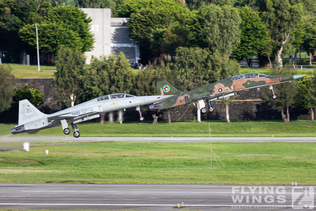 taiwan 2019 green 0667 zeitler 1024x683 - Taiwan Planespotting