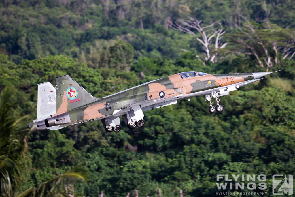 taiwan 2019 green 0730 zeitler 1024x683 - Taiwan Planespotting