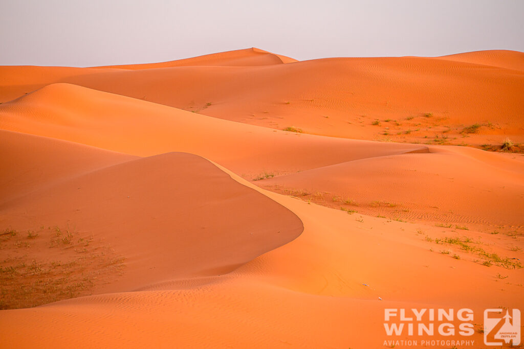 2024, Saudi Arabia, Tourism, desert