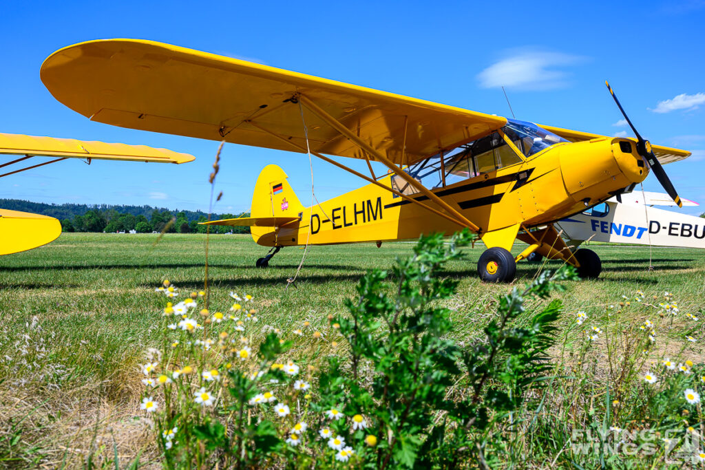 Piper Fly-In 2026: Cubs Gather in Landshut 20260704 2026 2104 zeitler 1024x683 - Piper Fly-In 2026: Cubs Gather in Landshut